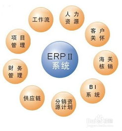 erp管理系统 委托书输入