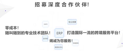 亚马逊无货源店群erp功能定制贴牌oem私有化定制开发