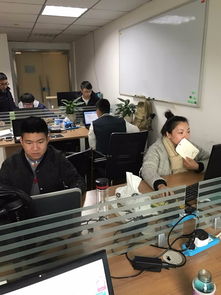 sql基础和逻辑常识 看准网