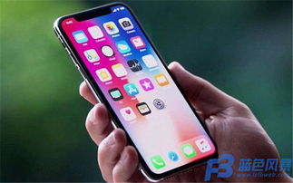电商app开发公司浅析海淘app受欢迎的原因